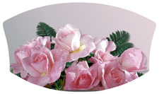 DNSWILL 063 Bouquet Of Roses Orchid